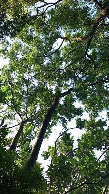 Snapchat-9051307944281901864